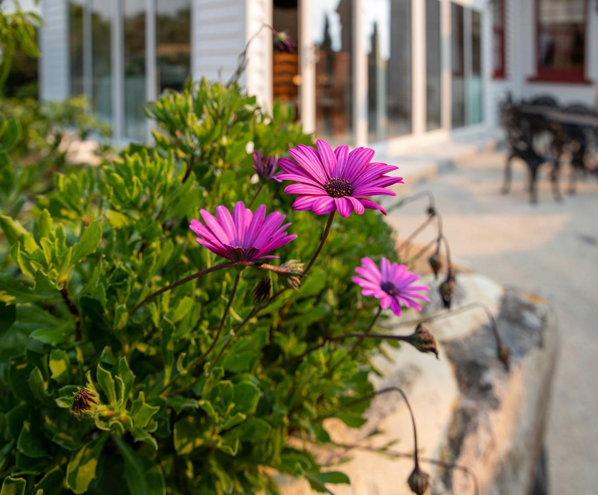 Poet'S Cottage Stanley Dış mekan fotoğraf